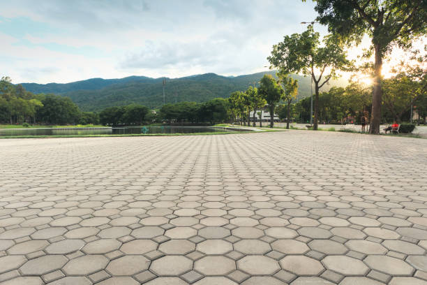 Best Driveway Pavers Near Me  in Pocomoke City, MD