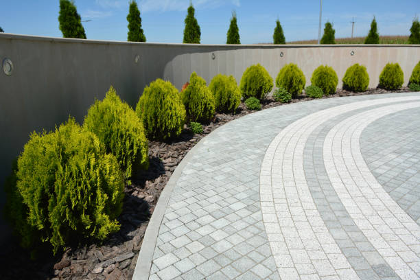 Best Brick Driveway Pavers  in Pocomoke City, MD